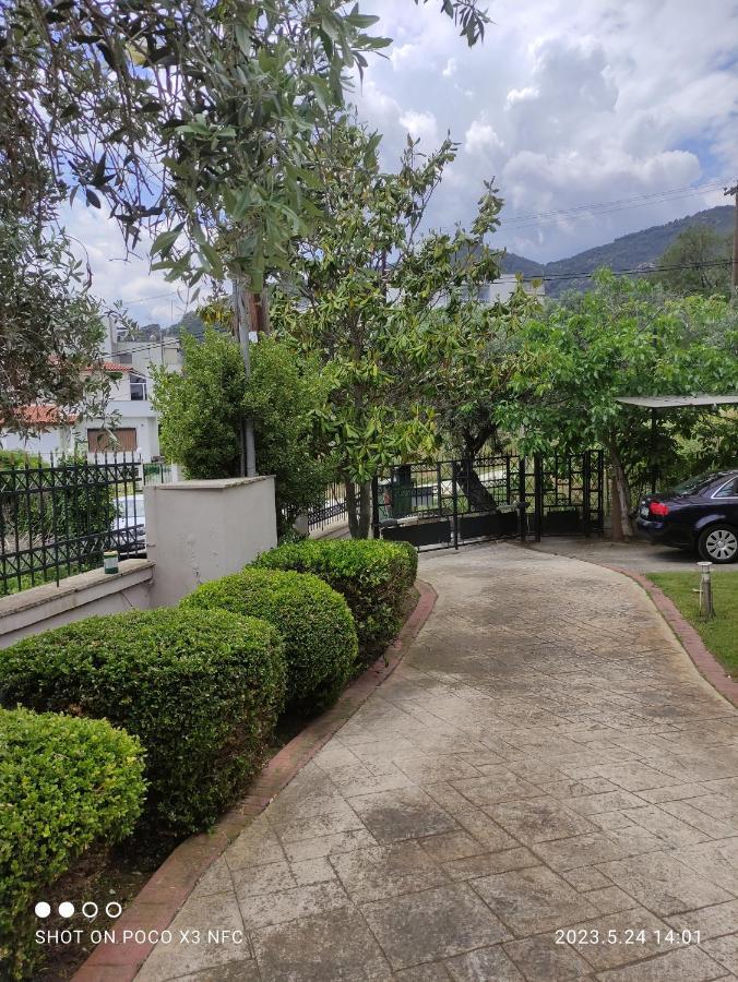 Garden House Villa Palaiontsiflikion Exterior photo